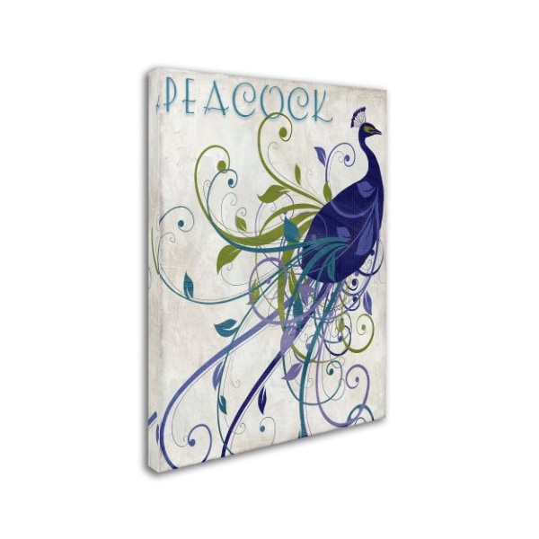 Color Bakery 'Peacock Nouveau I' Canvas Art,24x32